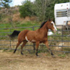 Meet your Posher, Tamara